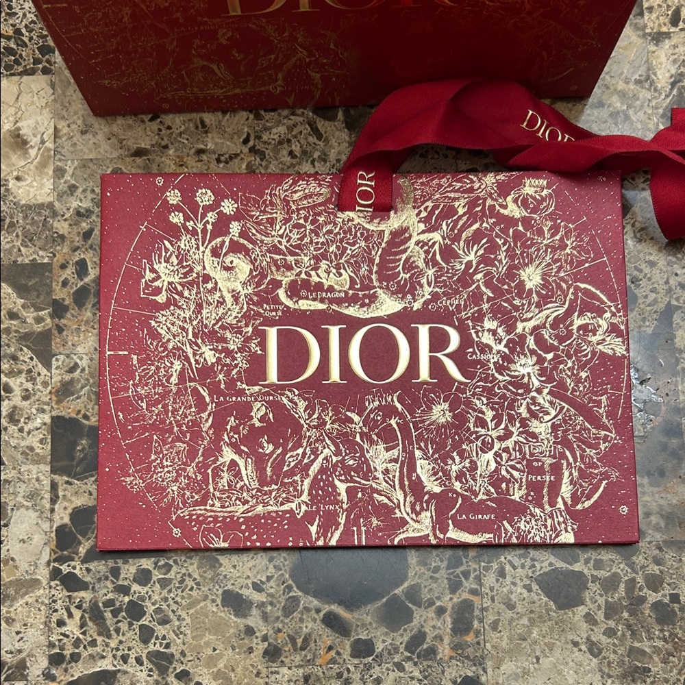 Dior Luxurious Red and Gold thick 2 bags - Picture 6 of 9